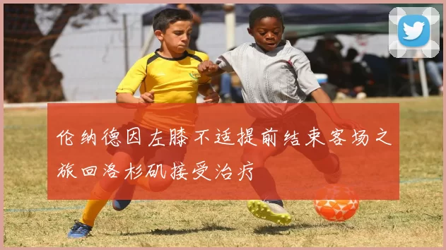 伦纳德因左膝不适提前结束客场之旅回洛杉矶接受治疗